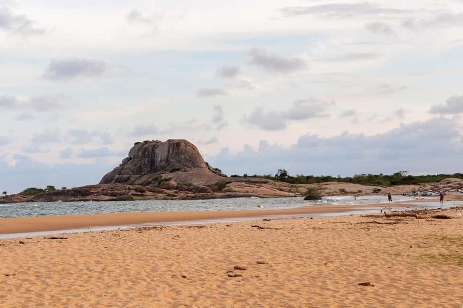 Ella: Transfer to Hikkaduwa & Yala Safari Tour - The animals you have a real chance of seeing