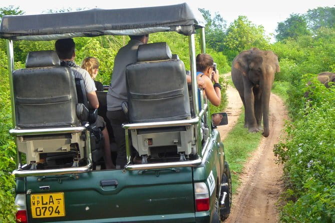Everything in Udawalawe (Safari, Accommodation with Half Board) - The quiet accommodation and half-board stay