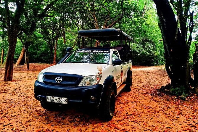 Everything in Udawalawe (Safari, Accommodation with Half Board) - Practical points before you reserve