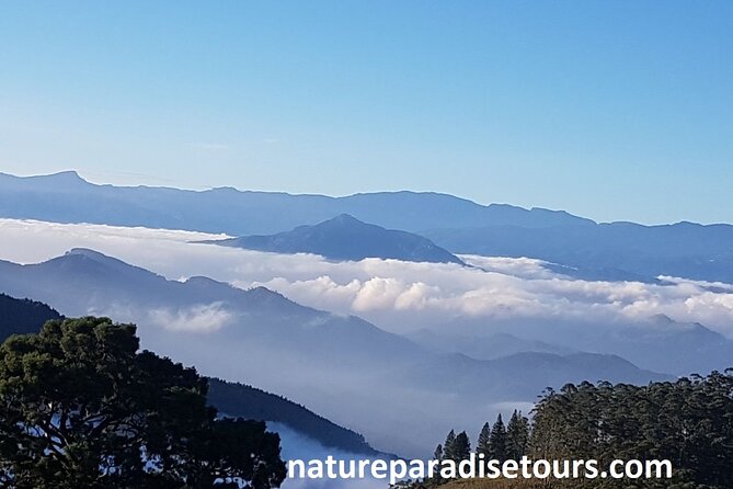 Exclusive knuckles Camping Tour from kandy - Key points to know before you go