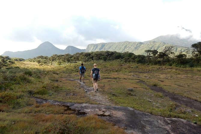 Exclusive knuckles Camping Tour from kandy - A picnic beside water or below the peaks