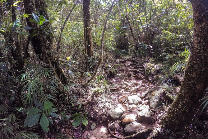 Exclusive knuckles Camping Tour from kandy - Overnight at the eastern-slope base camp