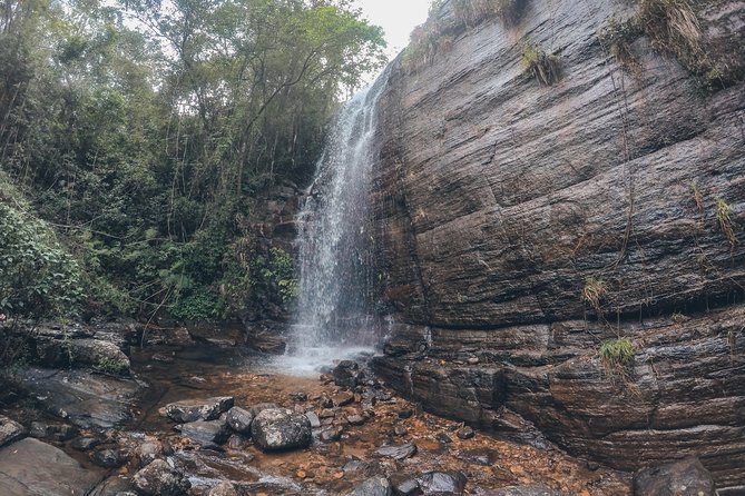 Exclusive knuckles Camping Tour from kandy - What the guides add to the walk