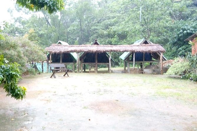 Exclusive knuckles Camping Tour from kandy - Day one: tea trails, rocky plateaus, and forest
