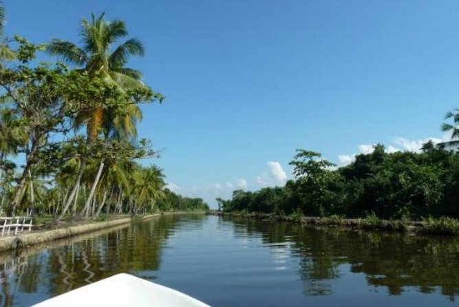 Exclusive: Muthurajawela Bird Watching Tour with Transfers - A Wetland Morning Near Negombo