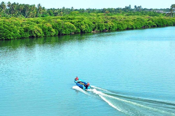 Exclusive: Muthurajawela Bird Watching Tour with Transfers - Wildlife That Rewards Careful Looking