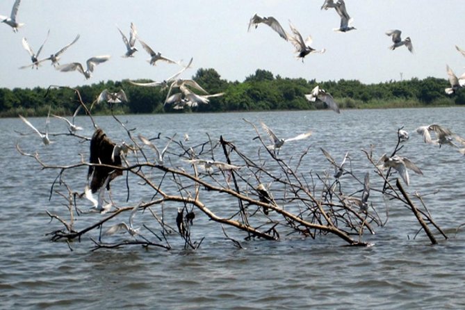 Exclusive: Muthurajawela Bird Watching Tour with Transfers - Timing, Duration, and Practical Details