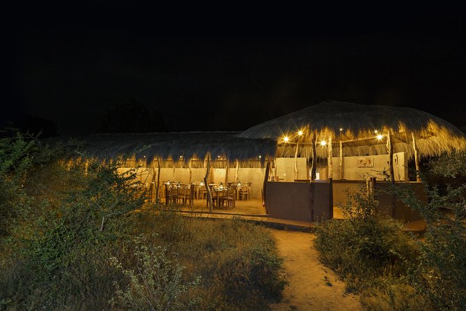 Exclusive : Overnight Leopard Safari with Luxury Glamping - Key points at a glance
