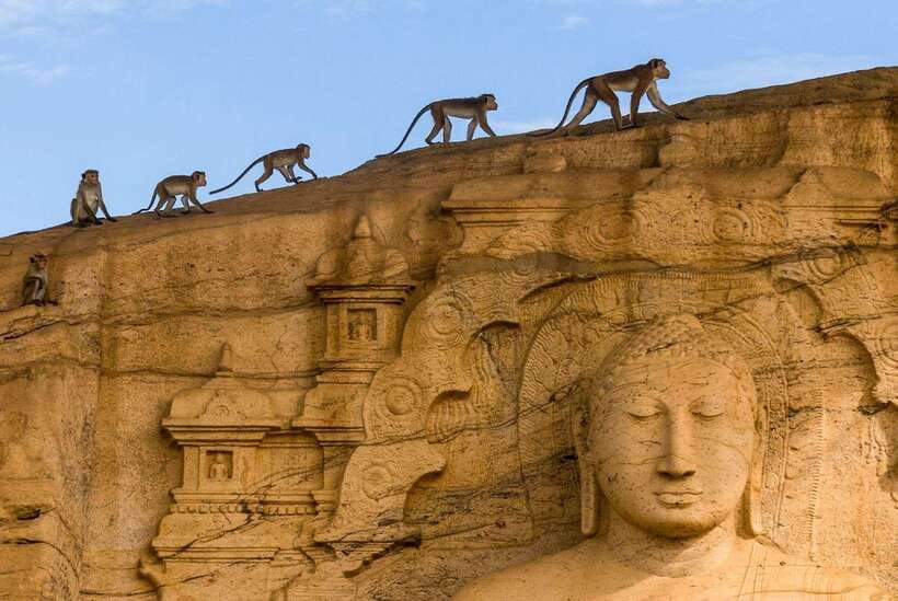 Exclusive: Sigiriya Fortress & Polonnaruwa Guided Tour - Polonnaruwa: stonework in a compact royal city