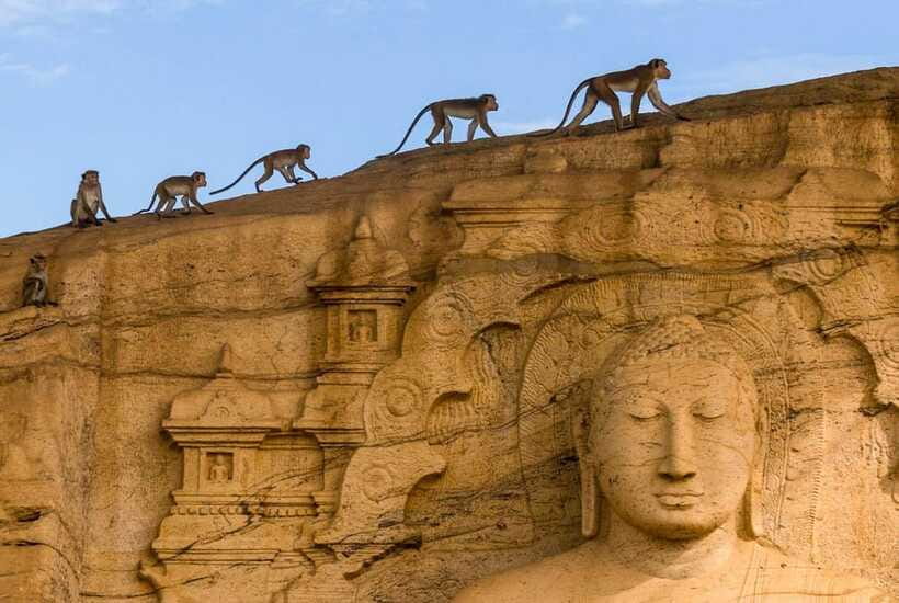 Exclusive: Sigiriya Fortress & Polonnaruwa Guided Tour - The guide and the pace