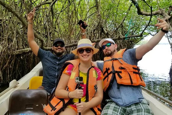 Exclusive: Southern Sri Lanka Sightseeing Private Day Trip - Meeting turtles at Kosgoda