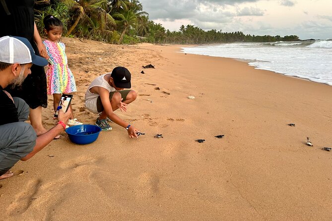 Explore Bentota Village: Guided Tuk Tuk Safari - Timing, clothing, and booking advice