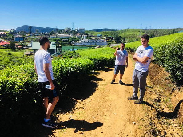 Explore Nuwara Eliya | Experience the Best Tea in the World - Why a private tea tour works well in Nuwara Eliya