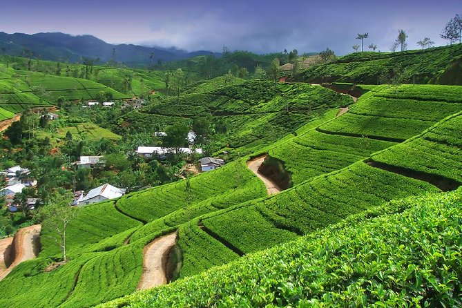 Explore Nuwara Eliya | Experience the Best Tea in the World - Ramboda Falls adds a welcome outdoor stop