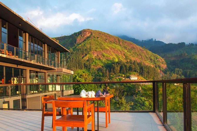 Explore Nuwara Eliya | Experience the Best Tea in the World - Oak Ray Tea Factory and Museum: the clearest introduction
