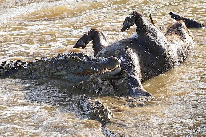 Explore The Beauty Of Udawalawe National Park From South Coast During 01 Day - The optional Elephant Transit Home stop