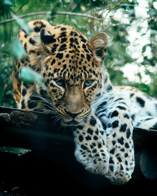 Explore the MAGIC of Sri Lanka in 7days -4 Star hotels Incl. - Day 5: Ella views and the feel of Little England