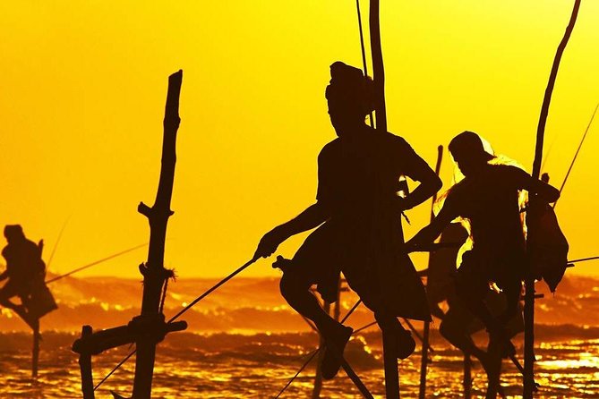 Family-Friendly Private Galle City Tour - Hikkaduwa turtles, with a few questions to consider