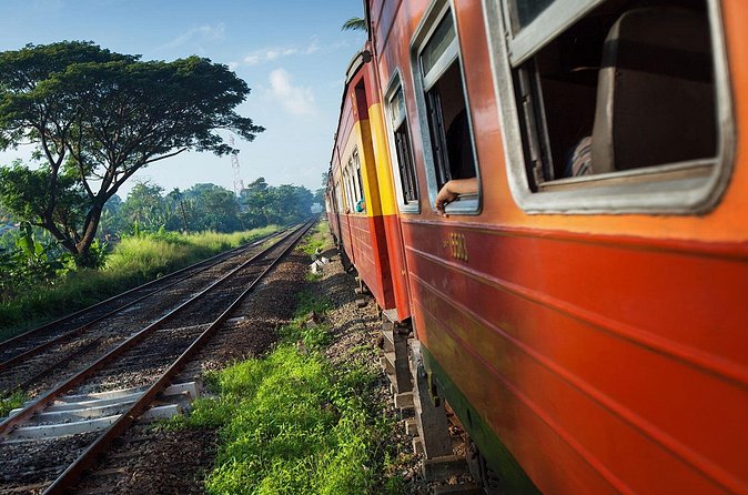 First Class Scenic Train Ticket From Kandy To Ella - From misty ridges to Nanuoya and the tea fields