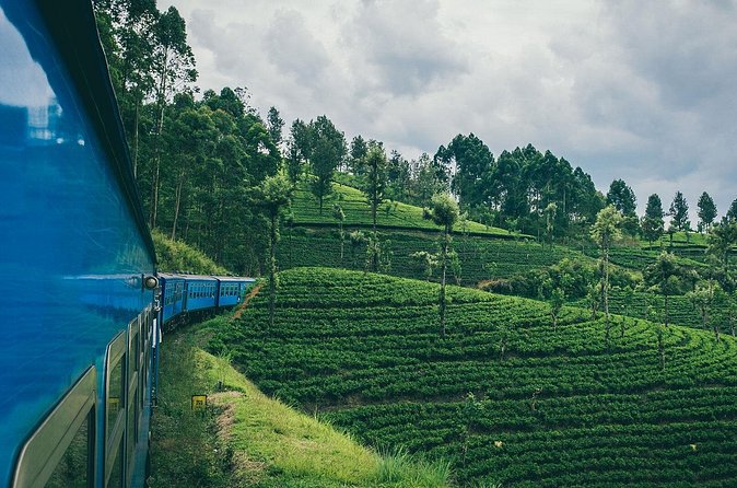 First Class Scenic Train Ticket From Kandy To Ella - Waterfalls, Horton Plains surroundings, and open mountain views