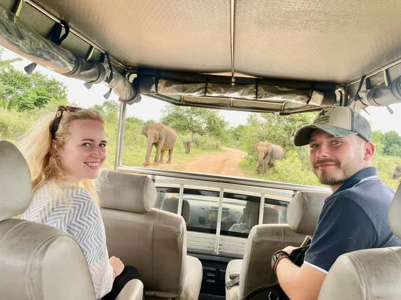 From Anuradhapura: Wilpattu National park Safari - Is $65 good value?