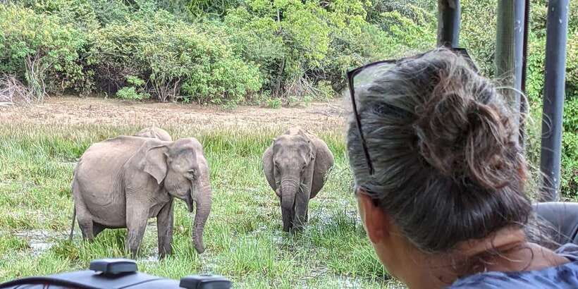 From Arugambay : Yala National Park Safari & Dropoff in Ella - Group size and comfort in the jeep