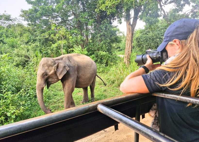 From Bentota: Elephant Transit Camp and Udawalawe Safari - The long schedule needs sensible preparation