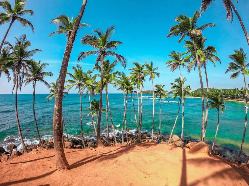 From Bentota: Elephant Transit Camp and Udawalawe Safari - Galle Fort turns history into a walk