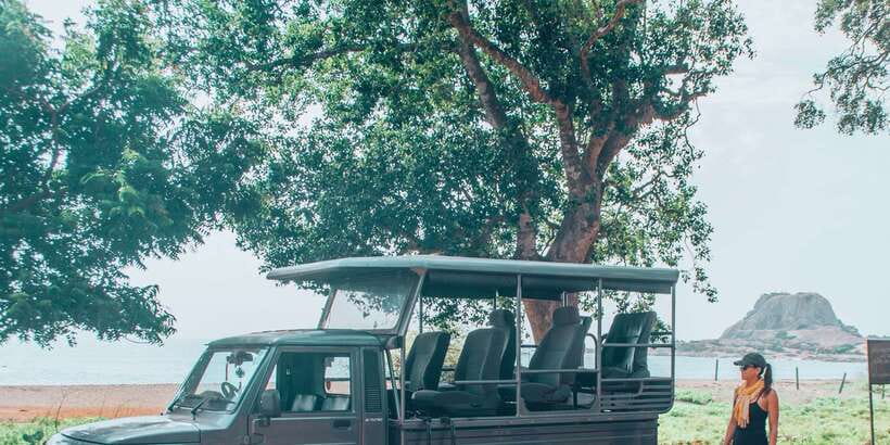 From Bentota: Full-Day Yala National Park Safari Tour - Elephants, crocodiles, and the patience of safari