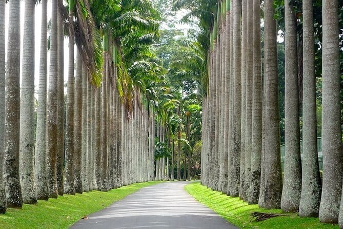 From Colombo Airport to Sigiriya or Kandy Private Transfer - What the Ride Does Not Include