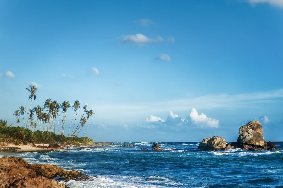 From Colombo: Day Trip to Galle City, Koggala and Unawatuna - FAQ