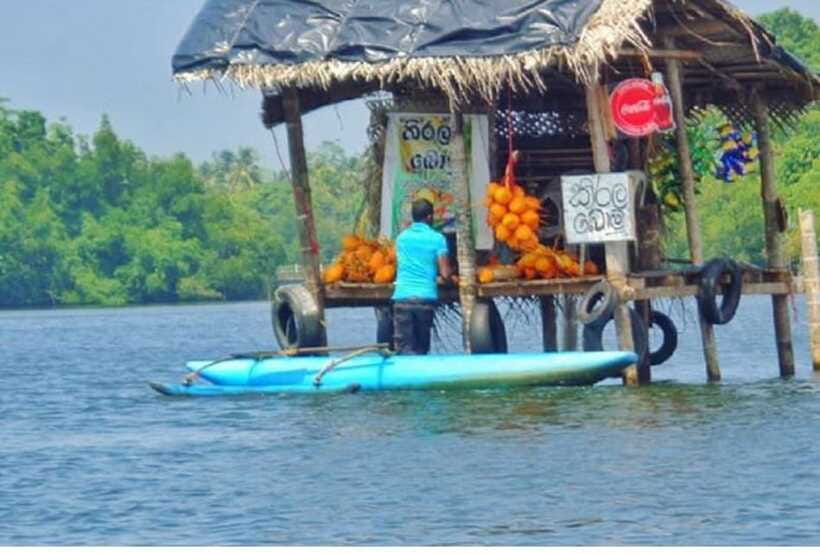From Colombo: Exclusive Madu River Safari & Turtle Hatchery - Timing, comfort, and what to bring