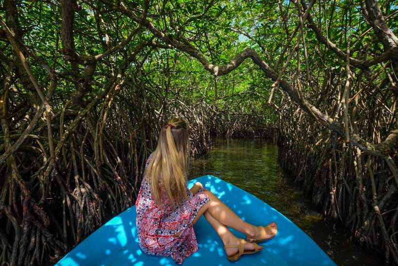 From Colombo: Galle, Bentota Coastal Highlights Private Tour - One long day along Sri Lanka’s south coast