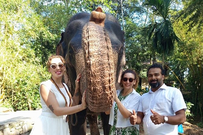 From Colombo: Kandy and Pinnawala Full-Day Trip - Key points at a glance