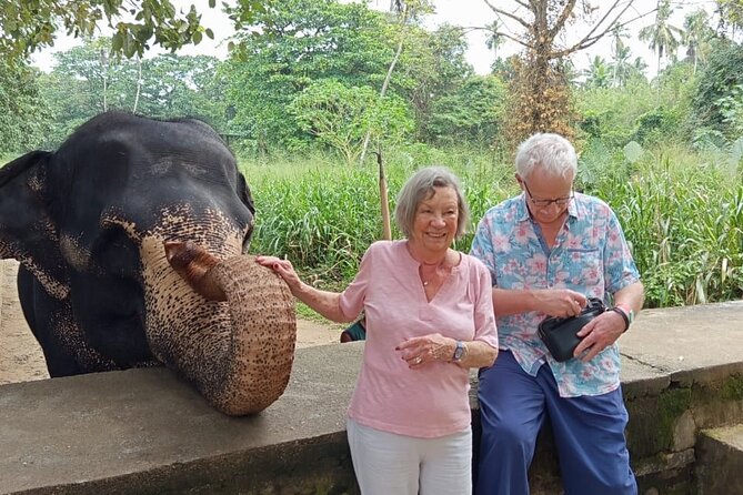 From Colombo: Kandy and Pinnawala Full-Day Trip - Why this Colombo to Kandy day makes sense