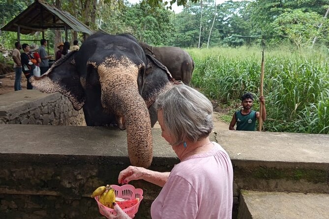 From Colombo: Kandy and Pinnawala Full-Day Trip - Royal Botanical Gardens reward an hour of walking