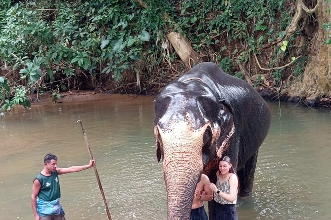 From Colombo: Kandy and Pinnawala Full-Day Trip - What the $70 price really covers