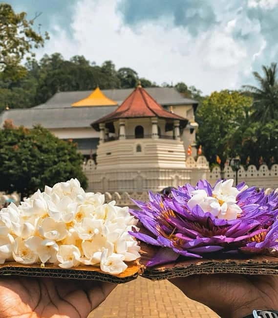 From Colombo: Kandy and Pinnawala Orphanage Short Excursions - Key points to know before booking