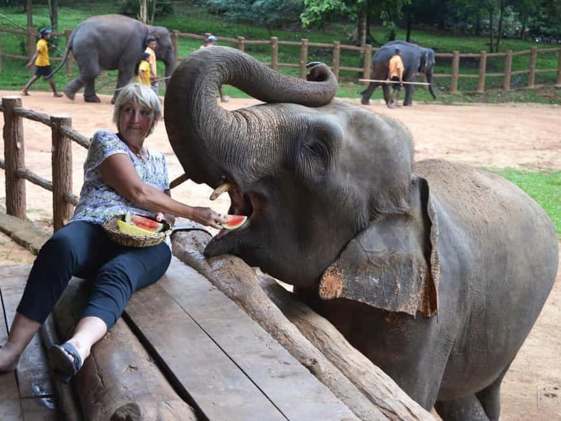 From Colombo: Kandy and Pinnawala Orphanage Short Excursions - The spice and herbal garden