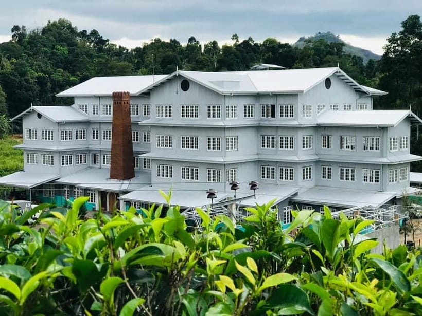 From Colombo: Kandy and Pinnawala Orphanage Short Excursions - Pinnawala and the elephant experience