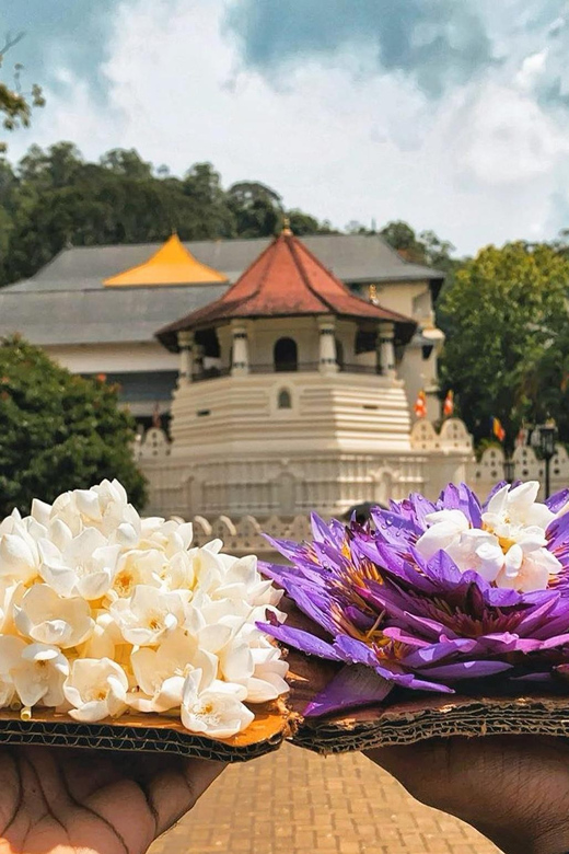 From Colombo: Kandy and Pinnawala Orphanage Short Excursions - Lunch and the limits of the schedule