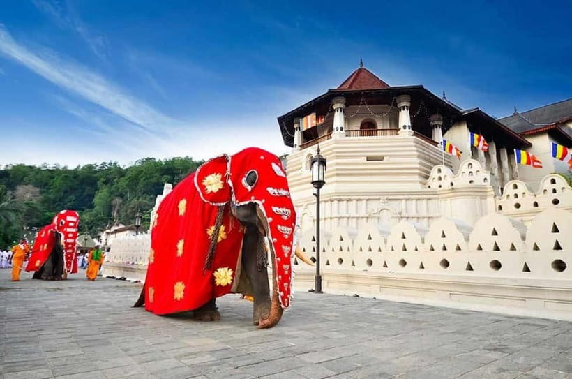 From Colombo: Kandy, Pinnawala and Tea Factory Full-Day Trip - The day in six useful points