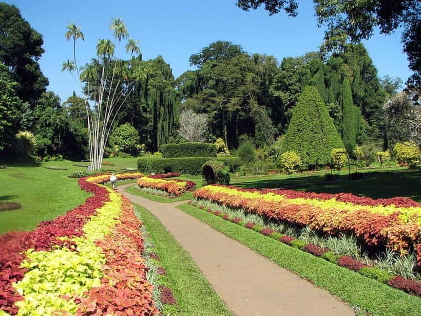 From Colombo: Kandy, Pinnawala and Tea Factory Full-Day Trip - Lunch above Kandy, with time to reset