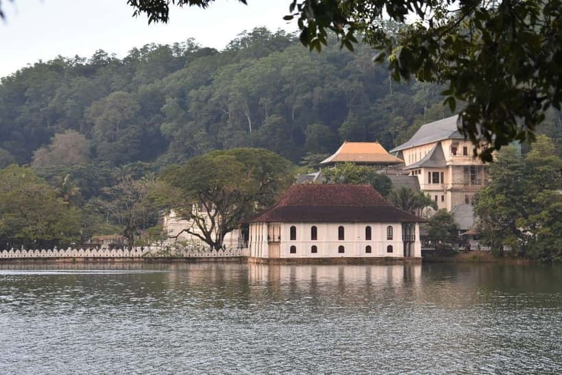 From Colombo: Kandy, Pinnawala and Tea Factory Full-Day Trip - Wood carving, batik, and the shopping rhythm