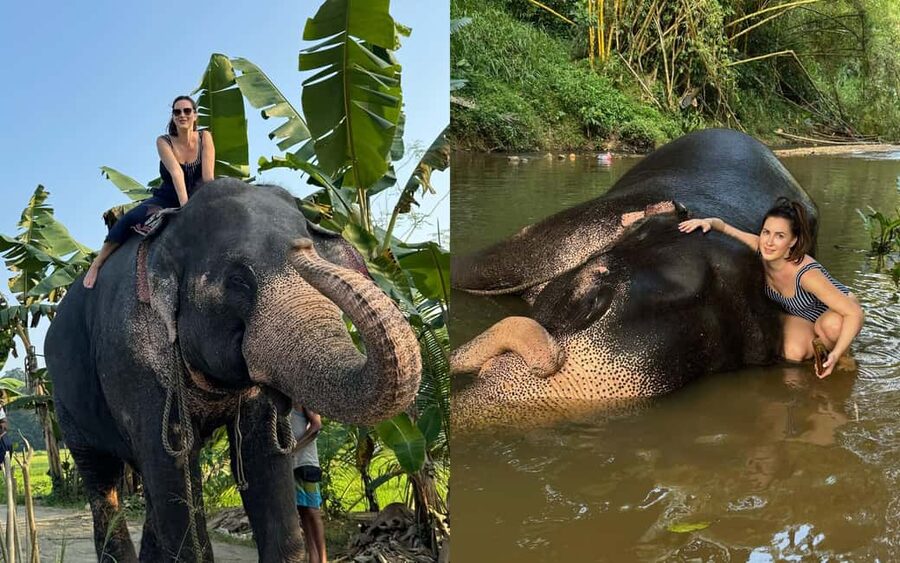 From Colombo: Kandy Temple of Tooth & Elephant Orphanage - Key points to know before booking