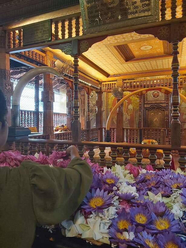 From Colombo: Kandy Temples and Pinnawala Full-Day Tour - Entering Kandy’s Tooth Relic Temple