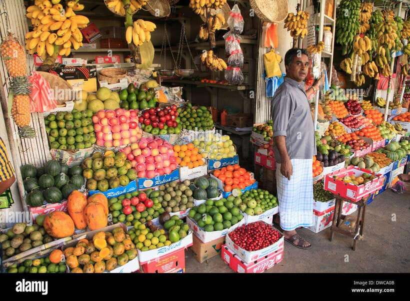 From Colombo: Kandy Temples and Pinnawala Full-Day Tour - Elephants and the Maha Oya River