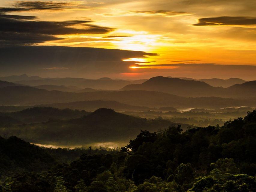 From Colombo/Negombo: Summit Thrills, Adams Peak Guided Hike - What the climb feels like at night