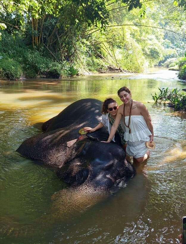 From Colombo or Negombo: Pinnawala, Kandy & Tea Factory Tour - Is $46 good value?
