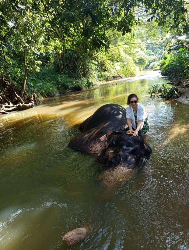 From Colombo or Negombo: Pinnawala, Kandy & Tea Factory Tour - Why this day trip covers so much of Sri Lanka
